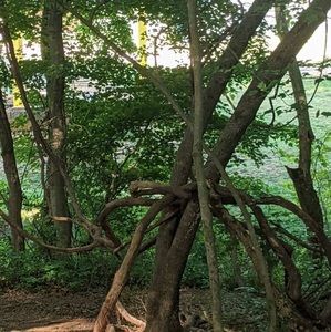 Meet your Posher, Ken